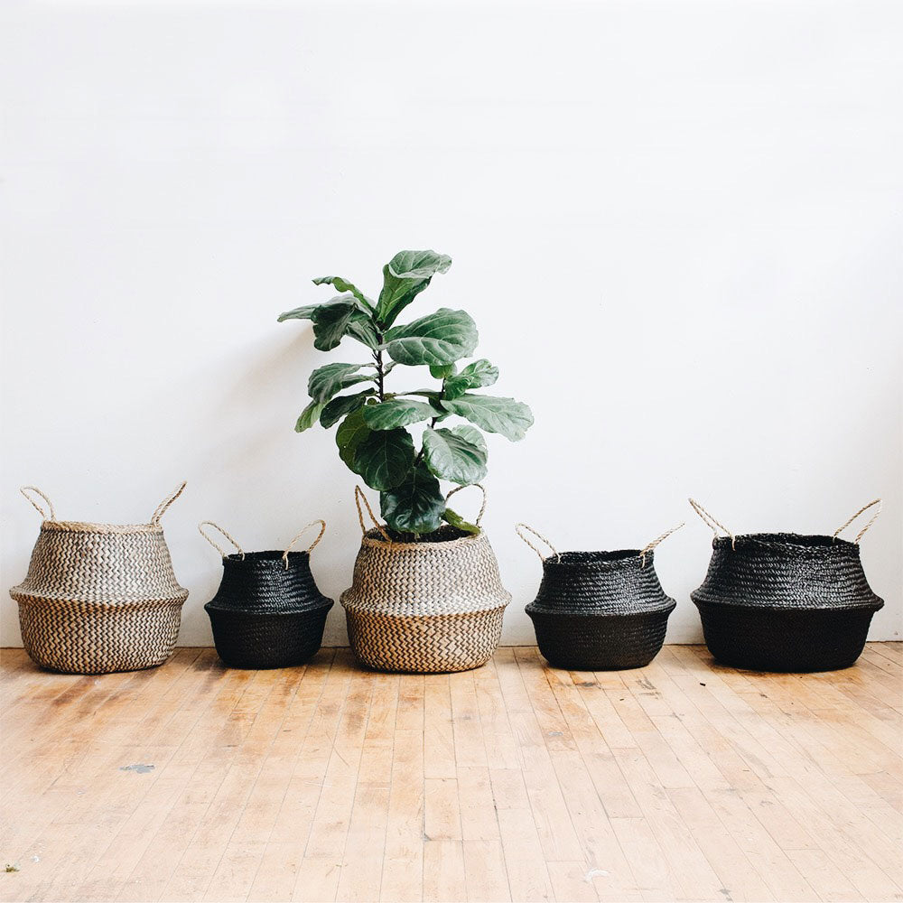 Lou Collapsible Rice Belly Basket